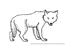 Wolf-1.pdf